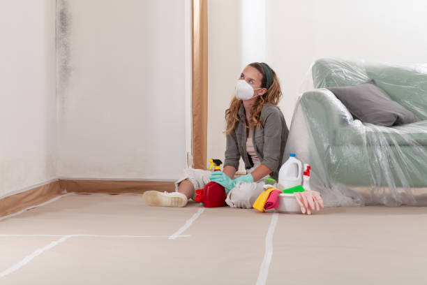Reliable Mold Remediation contractor in Rocky Mount, NC by Cheap Mold Removal